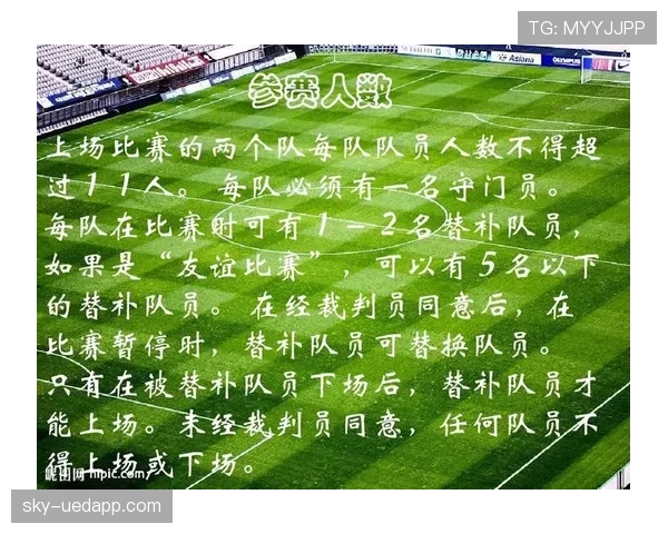 比赛暂停规则：裁判何时停止及如何恢复比赛
